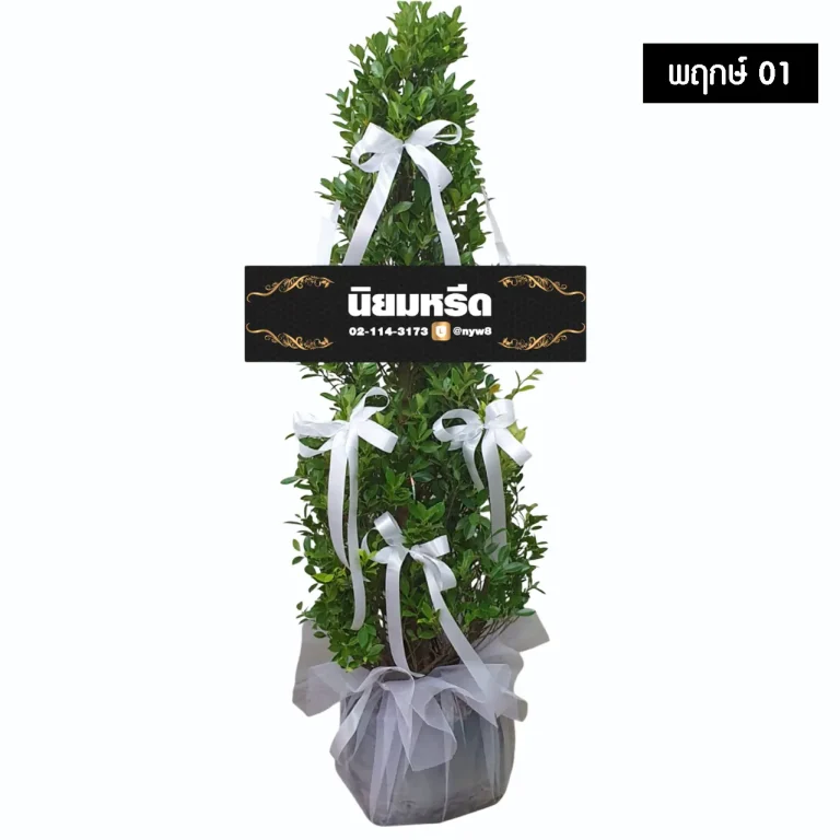 พวงหรีดต้นไม้ พฤกษ์01