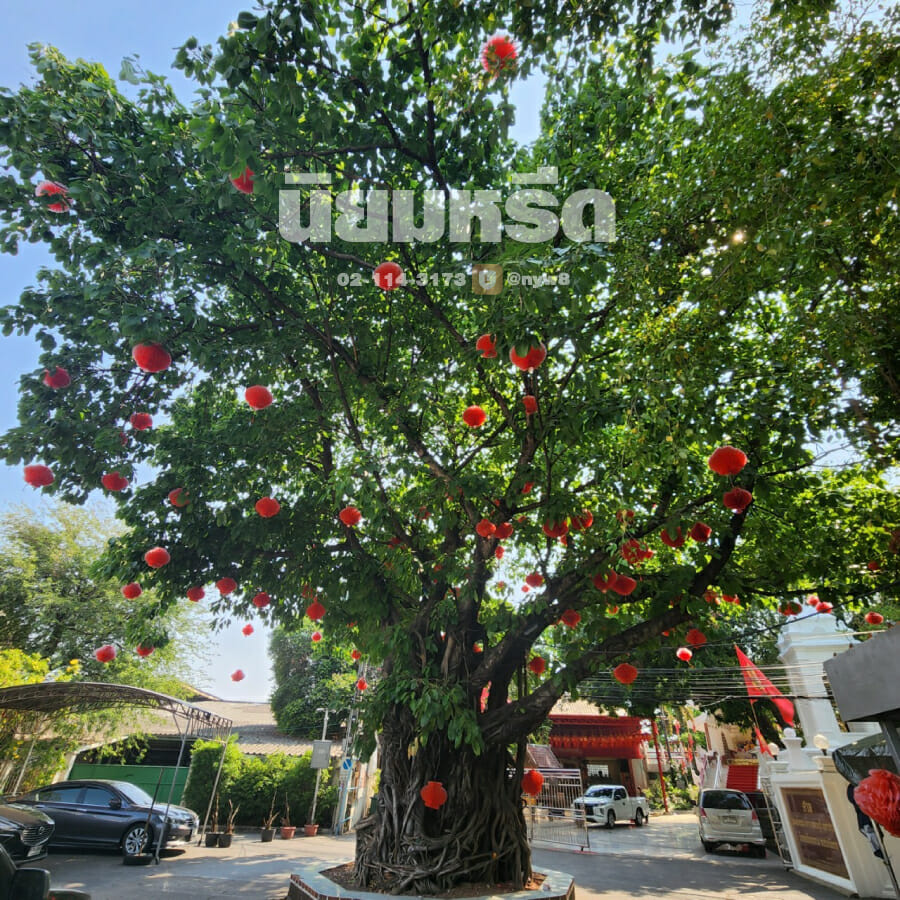 พวงหรีดวัดหงส์รัตนาราม