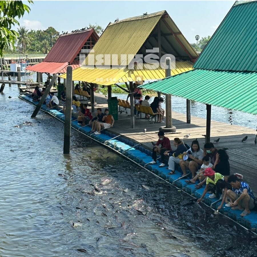 พวงหรีดวัดนางสาว