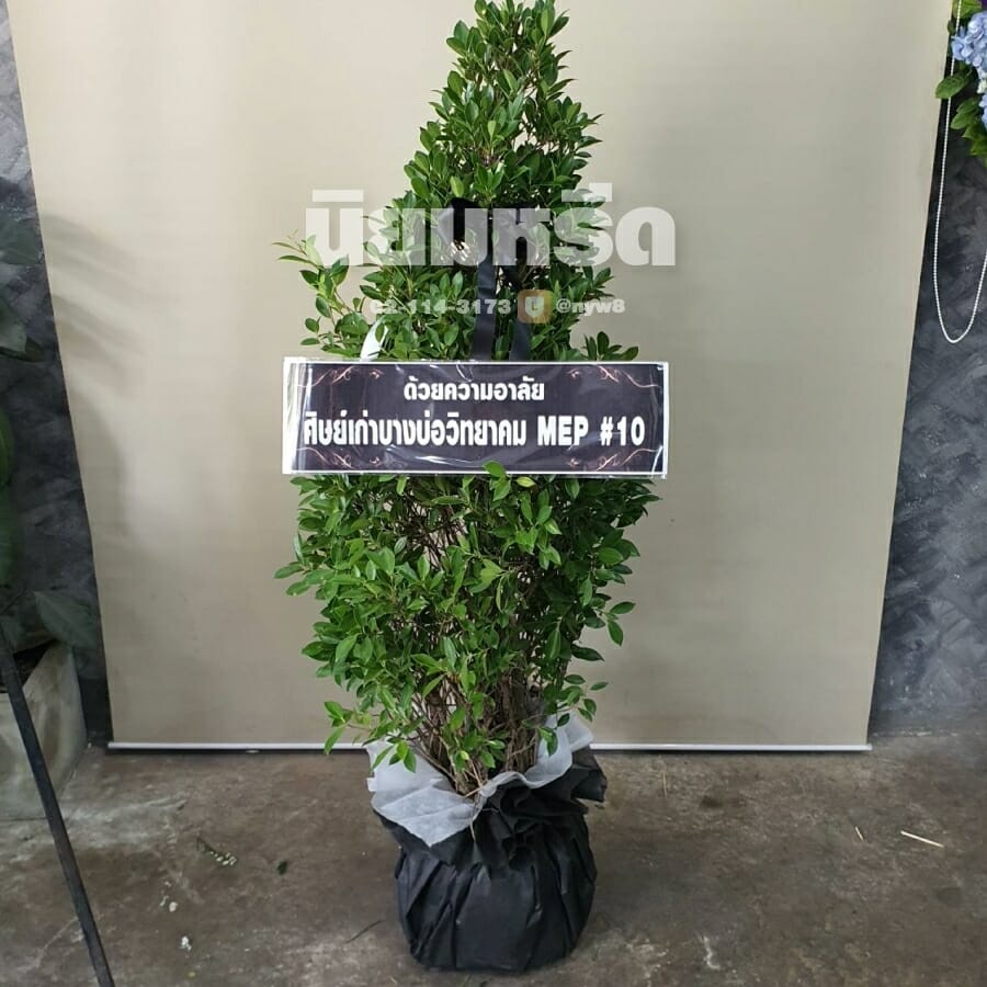 พวงหรีดวัดสน