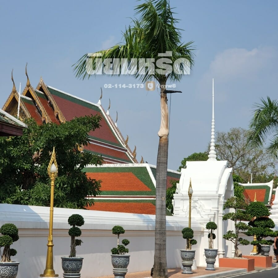 พวงหรีดวัดสระเกศ