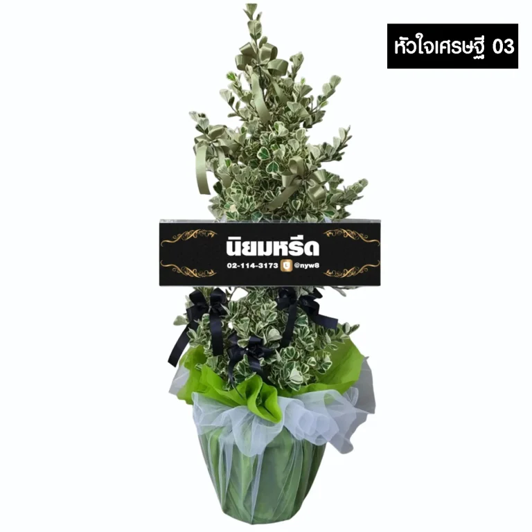 พวงหรีดต้นไทรหัวใจเศรษฐี03 ไม้มงคล ห่อกระถางสีเขียวซ้อนผ้าโปร่งสีขาว ประดับโบว์สีดำและสีเขียวอ่อน จัดส่งฟรีกรุงเทพและปริมณฑล