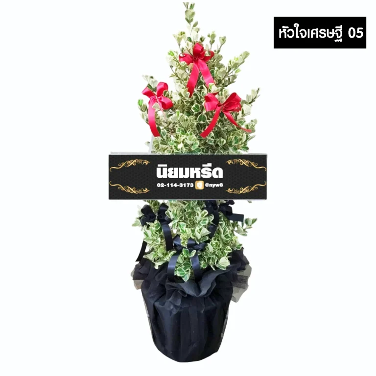 พวงหรีดต้นไทรหัวใจเศรษฐี05 ไม้มงคล ห่อกระถางสีดำ ประดับโบว์สีแดงและสีดำ จัดส่งฟรีกรุงเทพและปริมณฑล