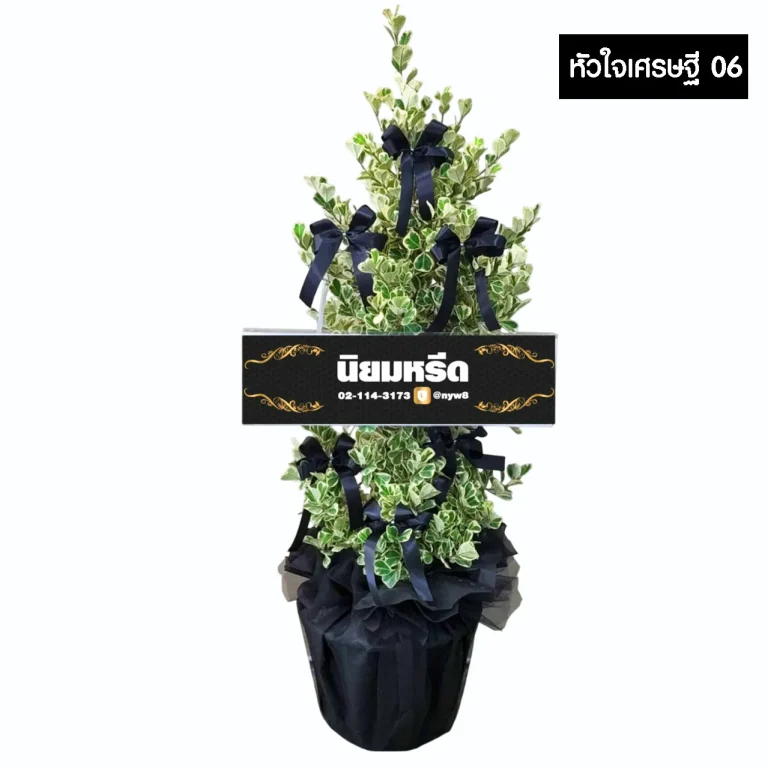 พวงหรีดต้นไทรหัวใจเศรษฐี06 ไม้มงคล ห่อกระถางสีดำ ประดับโบว์สีดำ สุขุม เป็นทางการ จัดส่งฟรีกรุงเทพและปริมณฑล