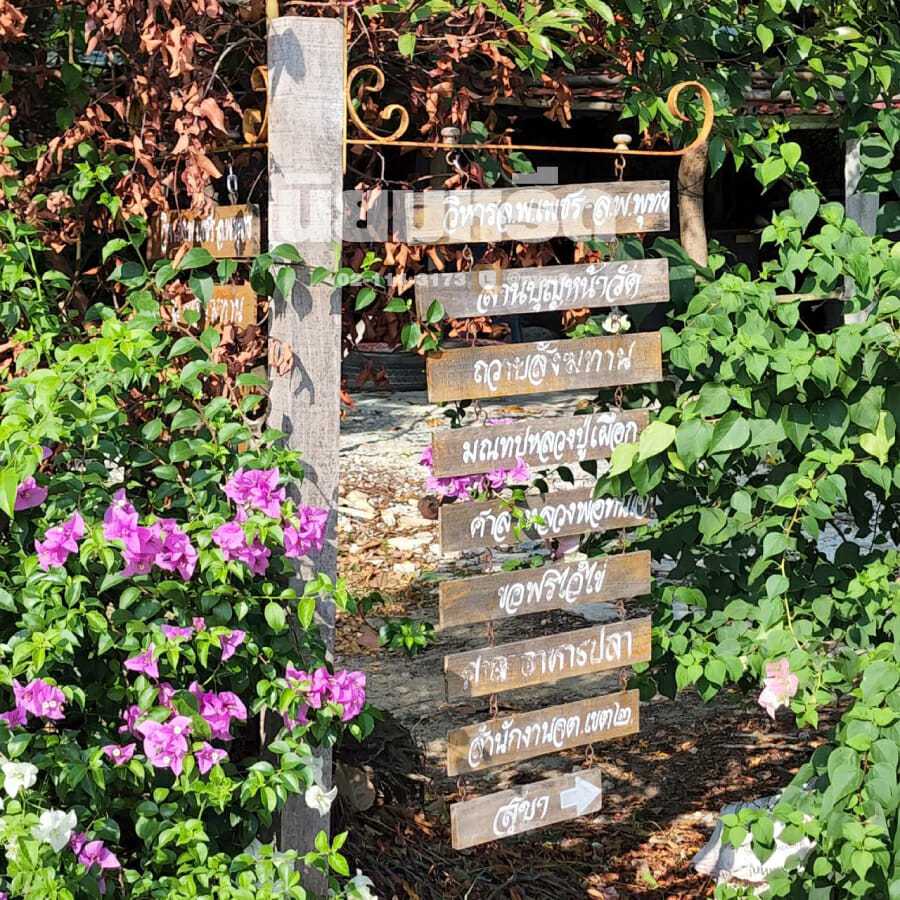 พวงหรีดวัดโมลี