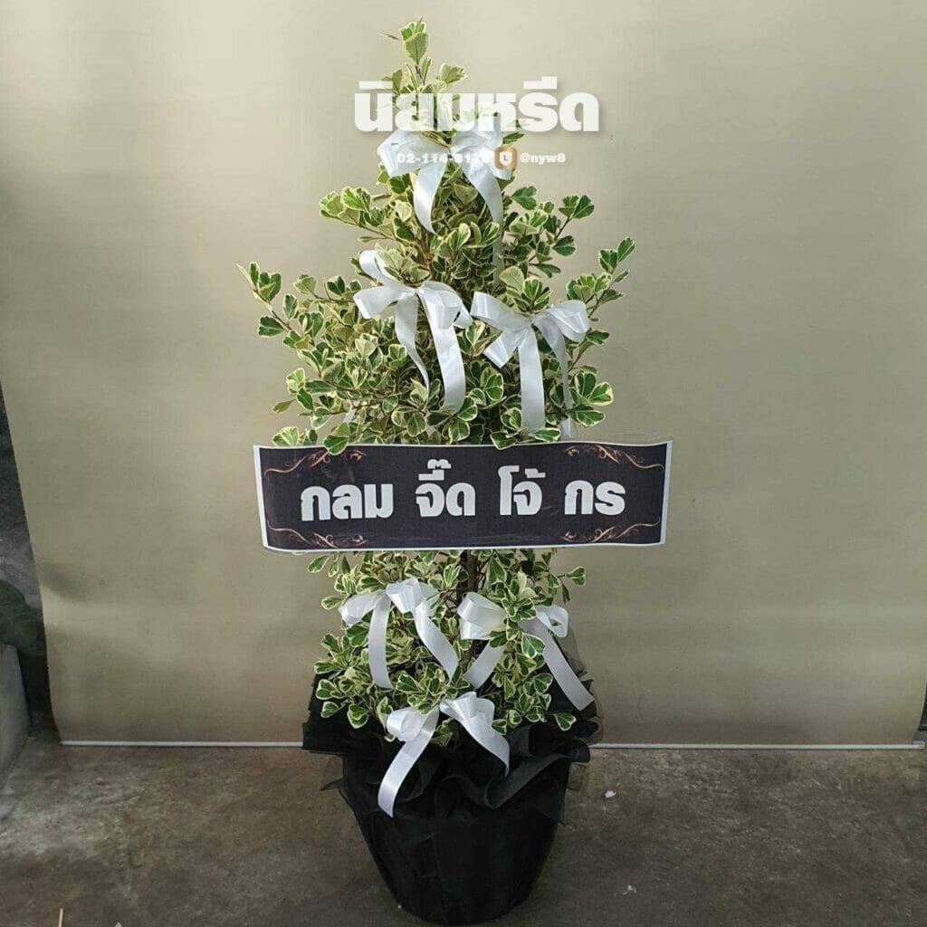 พวงหรีดวัดชมภูเวก