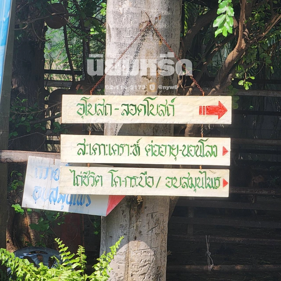 พวงหรีดวัดบางบัวทอง