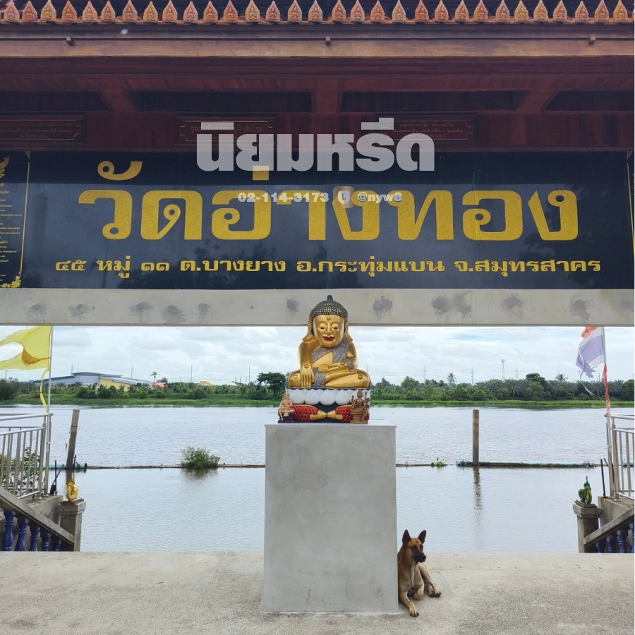 พวงหรีดวัดอ่างทองกระทุ่มแบน