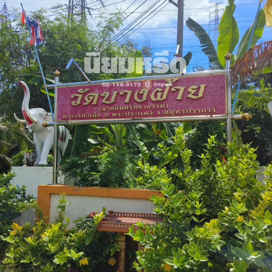 พวงหรีดวัดบางฝ้าย
