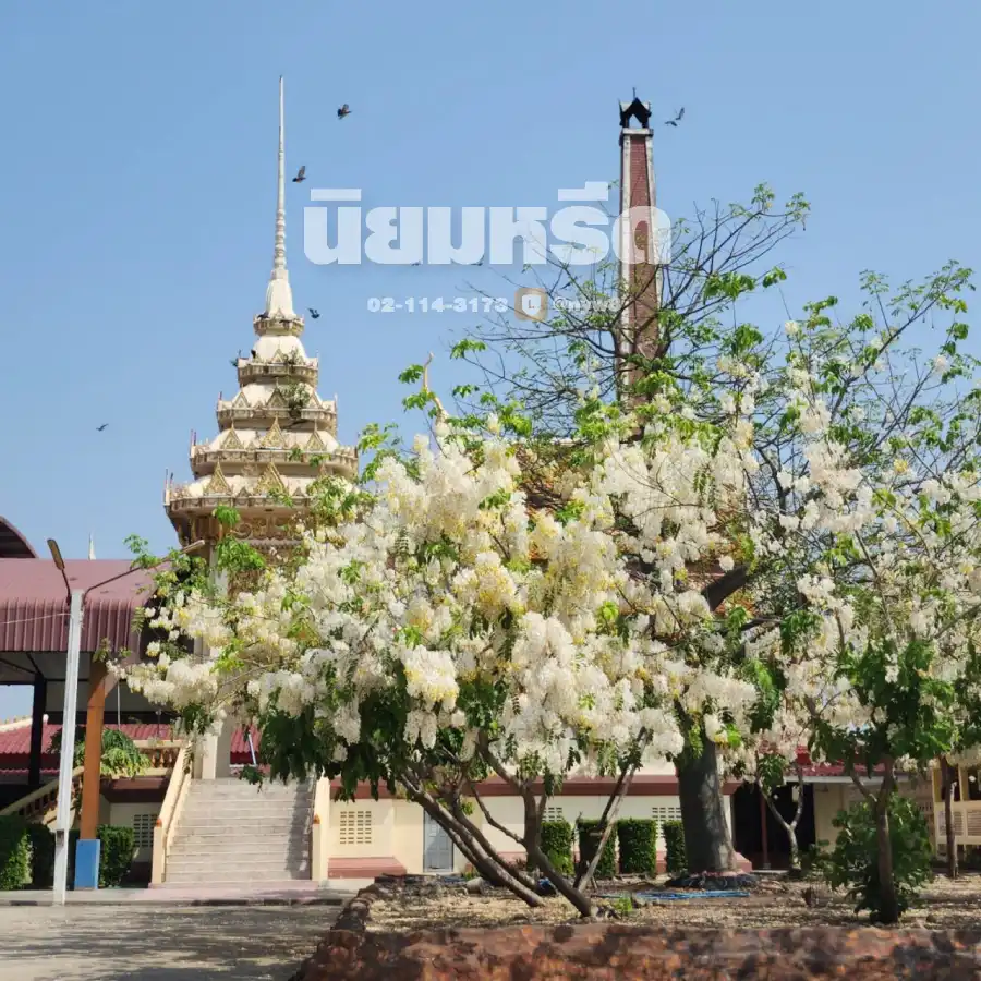 พวงหรีดวัดคลองขวาง